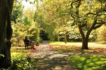 Arboretum in Royal Victoria Park, Bath; England - October 31, 2017: The park dates back to 1829 and...