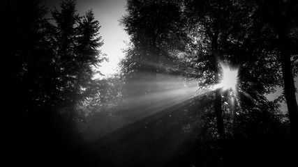 Tot, Trauer - Hintergrundtextur 