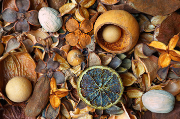 Fruity autumn potpourri