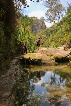 Madagascar Isalo National Park Canyon_12