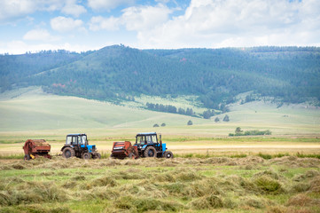 hay harvesting