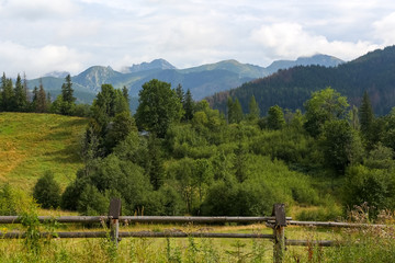 Fototapeta premium Tatras and wooded land and meadows with Zakopane