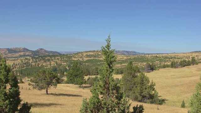 Time Lapse Sky darkens during solar eclipse oregon totality