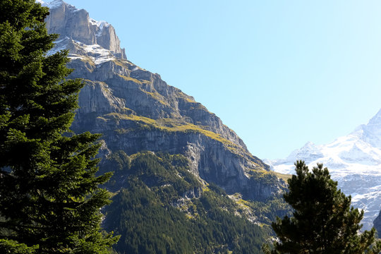 The slope of a massive mountain