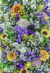 Large bouquet of the garden plants and wild flowers