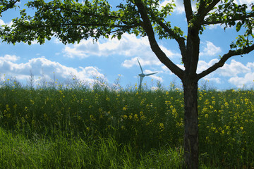 beautiful landscape with a wind turbine