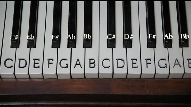 White and black piano keys with named notes II