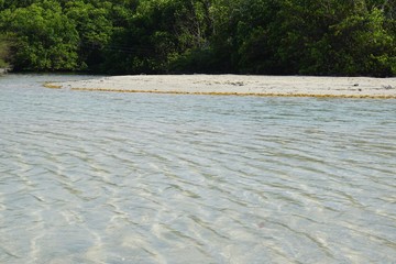Lagune mit Mangroven und Seevögeln in Playa Del Este, Havanna, Kuba, Karibik