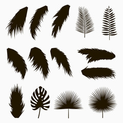 Fototapeta na wymiar Silhouettes of tropical and palm leaves. Set of isolated jungle exotic plants leaf. Hand drawn monochrome illustration. Vector.