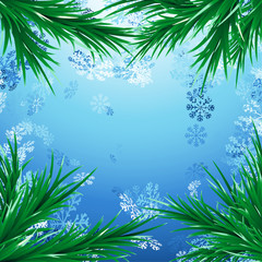 Fototapeta na wymiar Snow Christmas background with green fir tree branches