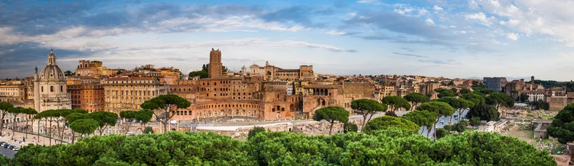 Schapenvacht deken met foto Rome Panoramisch uitzicht op het Forum Romanum, Rome, Italië