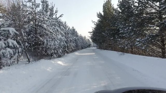 Car and falling snow in winter on forest road with much snow