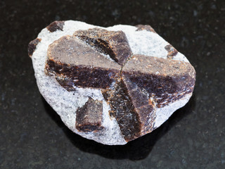 raw crystal of Staurolite in mica shale on dark