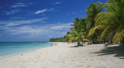 Plage paradisiaque,  Saona,  mer des caraibes,  République Dominicaine 