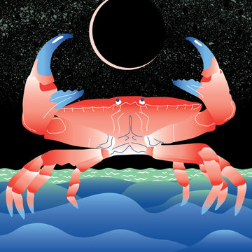Illustration of crab