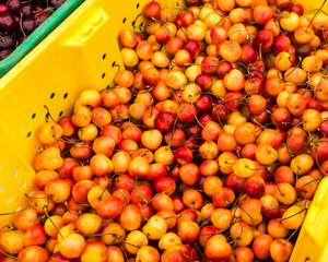 Cherries