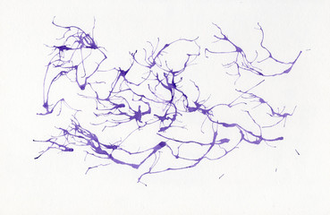 Abstract watercolor on paper. Background neurons violet
