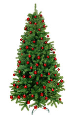 Christmas Tree isolated on white background