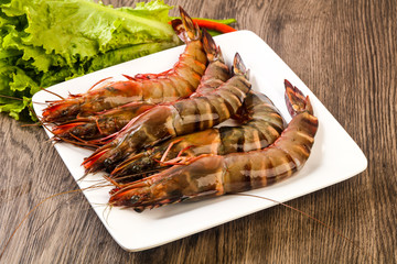 Raw big tiger prawn