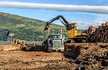 Industry and technology