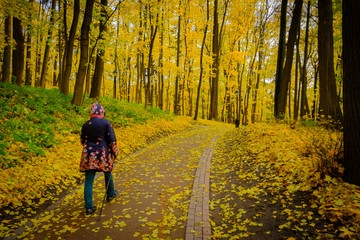 Fototapeta premium Mature woman walking Nordic Walk in a park at fall. Back view