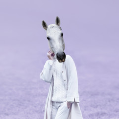 Romantic White Horse Lady.  Contemporary Art collage