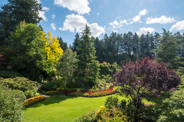 Obraz premium Beautiful Garden