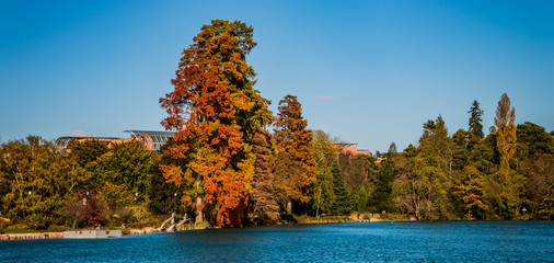 Panorama du lac du Parc de la Tête d'Or en automne à Lyon