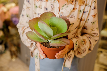 Woman in beautiful shirt holding a pot with flower