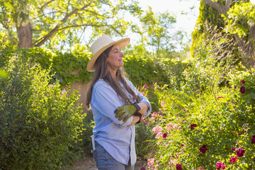 Older Caucasian woman admiring flowers in garden