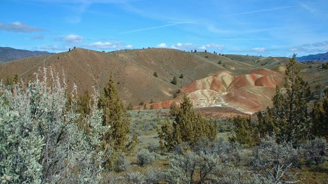 Wide painted hills Spring Sutton Mountain John Day Great Basin High Desert Columbia Plateau