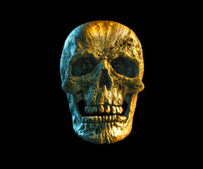 Human skull on Rich Colors. The concept of death, horror. A symbol of spooky Halloween. 3d rendering illustration.