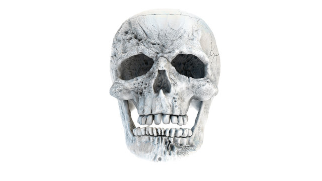 Human skull on Rich Colors. The concept of death, horror. A symbol of spooky Halloween. 3d rendering illustration.