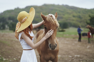 Woman petting horse