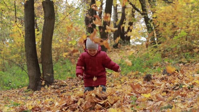 Toddler boy playing with autumn leaves in park