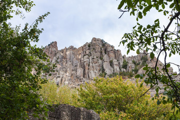 Fototapeta na wymiar view of old rocks of Demerdzhi Mountain from park