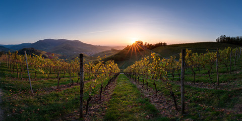 Sonnenuntergang in den Weinreben, Schloss Staufenberg in Durbach