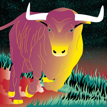 Taurus - Stier