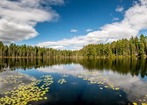 Wilderness lake, Algonquin Park