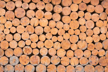 Texture of the ends of the logs lying on one another