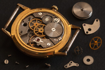 Watch. Repair old watches. Full focus