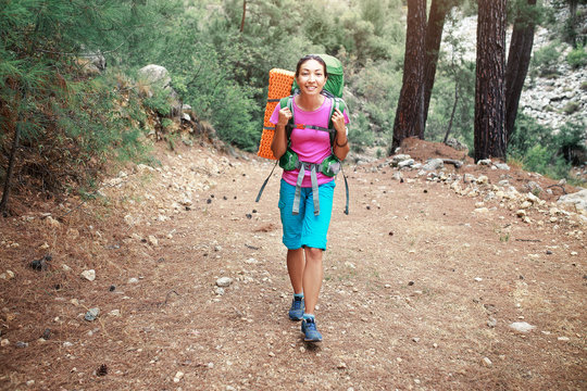 Woman hiker with backpack travelling in a pine forest by Lycian Way, Turkey