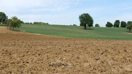Fototapeta na wymiar Terra e campi coltivati in Emilia Romagna