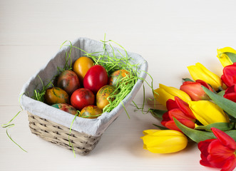 Easter wicker basket with colored eggs and yellow and red tulips on white wooden board.