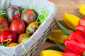 Easter wicker basket with colored eggs, yellow and red tulips on brown wooden board.
