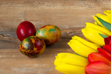 Easter colored eggs and yellow and red tulips on brown wooden board.