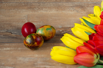 Easter colored eggs and yellow and red tulips on brown wooden board.