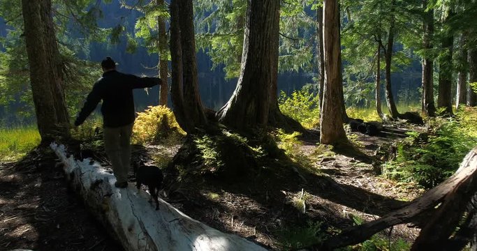 Man and Boston Terrier Dog Balancing on Log Hike Through Woods To Mountain Lake Paradise