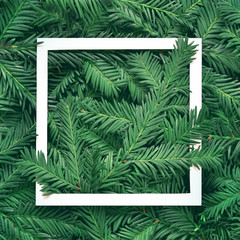 Creative background of pine branch with white paper frame. New Year and Merry Christmas Concept.