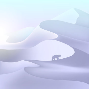 North pole landscape. Snowdrift. Polar bear